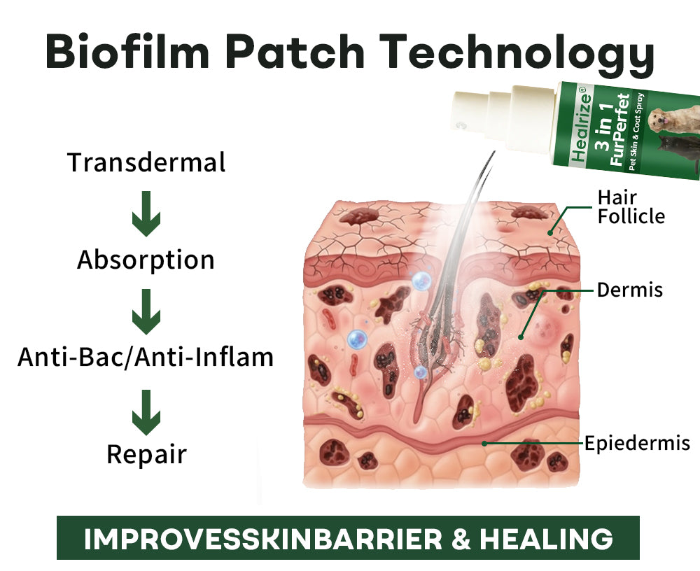 🔥 𝙉𝙚𝙬 𝙔𝙚𝙖𝙧 𝙎𝙖𝙡𝙚 | Healrize® 3 in 1 FurPerfect Pet Skin & Coat Spray