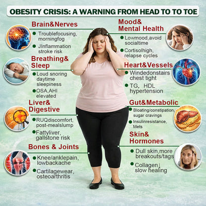 🇺🇸 𝐎𝐟𝐟𝐢𝐜𝐢𝐚𝐥 𝐔𝐒 𝐒𝐭𝐨𝐫𝐞 | 🧑‍⚕️🩺 𝐇𝐞𝐚𝐥𝐫𝐢𝐳𝐞® Moringa · Berberine × NAD+ 𝟏𝟎-𝐢𝐧-𝟏 𝐀𝐝𝐯𝐚𝐧𝐜𝐞𝐝 𝐍𝐚𝐧𝐨 𝐌𝐢𝐜𝐫𝐨𝐧𝐞𝐞𝐝𝐥𝐞 𝐏𝐚𝐭𝐜𝐡 — 𝐎𝐧𝐜𝐞 𝐃𝐚𝐢𝐥𝐲, 𝐕𝐢𝐬𝐢𝐛𝐥𝐞 𝐑𝐞𝐬𝐮𝐥𝐭𝐬 𝐢𝐧 𝟕 𝐃𝐚𝐲𝐬