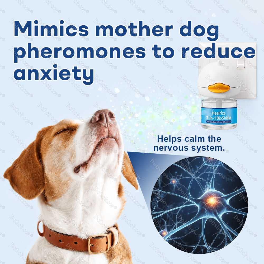Healrize®3-in-1 BioShield 60-Day Dog Calming Diffuser Kit | 1 Diffuser + 2 Refills