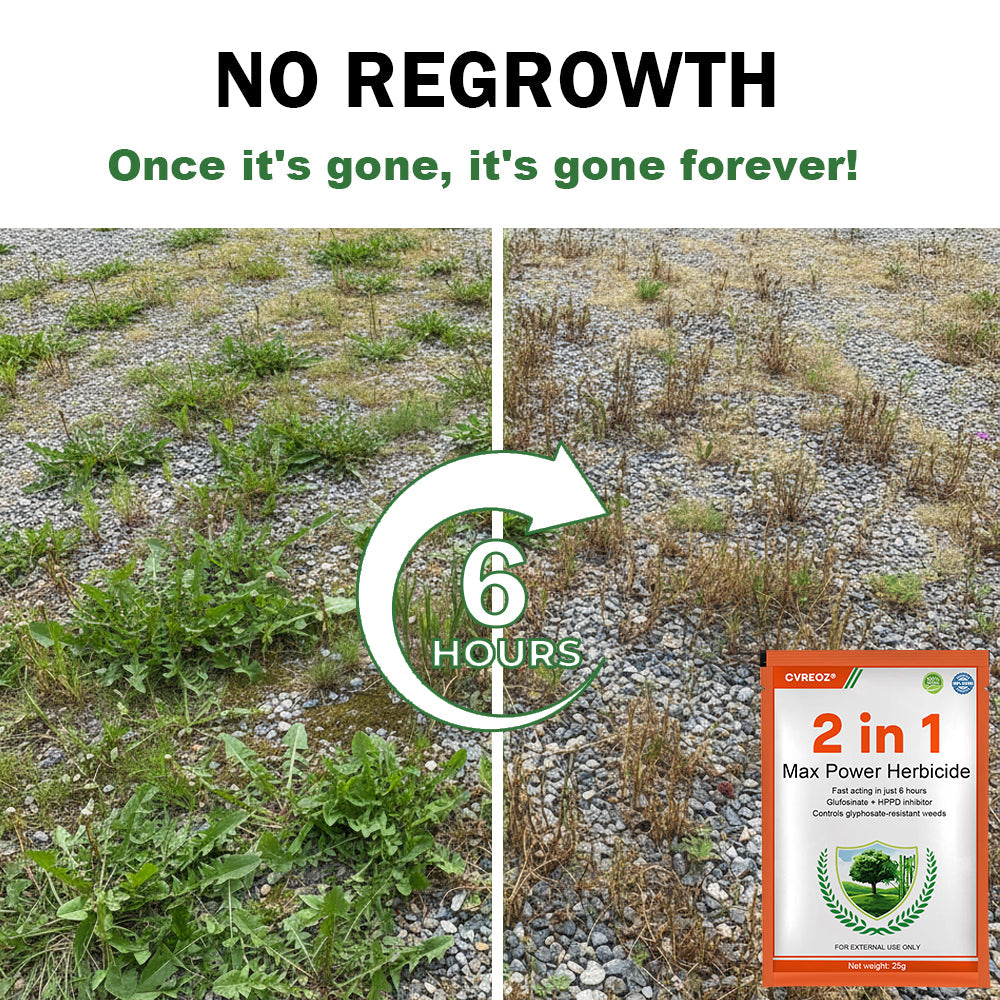 🏆Official Store | 🔥Hot Sale- 50%OFF🌿 | Cvreoz® 2 in 1 Max Power Herbicide