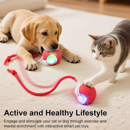 Smart Interactive Automatic Electric Rolling Moving Rechargeable Motion Activated Self Play Electronic Stimulation Chase Teaser Ball Toy with Rope for Indoor Bored Adult Cat and Dog
