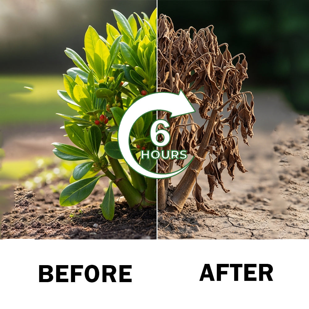 🏆Official Store | 🔥Hot Sale- 50%OFF🌿 | Cvreoz® 2 in 1 Max Power Herbicide