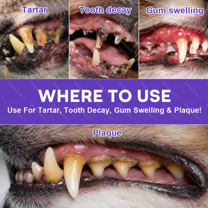 Healrize® PawBiome 3-in-1 Pet Oral Spray