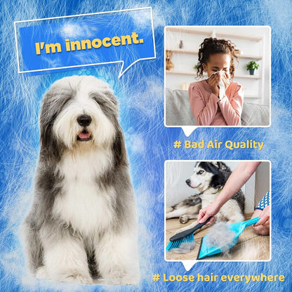 Pet Hair Removal Glove with 255 Silicone Tips for Dogs & Cats, Right Blue | 2-in-1 Deshedding & Massage Mitt, 5-Finger Flexible Design, for Bathing & Grooming, Safe for Long/Short/Curly Hair Pets