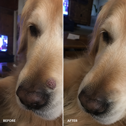 Dobshow®Advanced Dog Wart Remover | Painless & Fast-Acting Drops