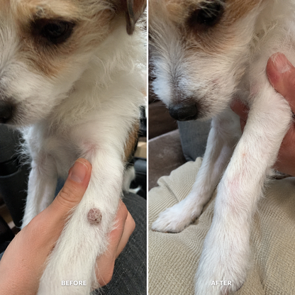 Dobshow®Advanced Dog Wart Remover | Painless & Fast-Acting Drops