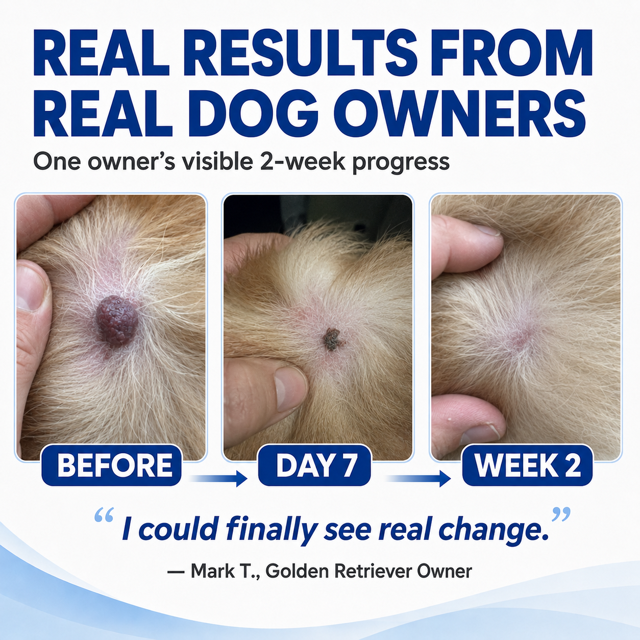 Dobshow®Advanced Dog Wart Remover | Painless & Fast-Acting Drops