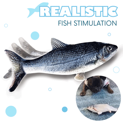 Pets Floppy Fish