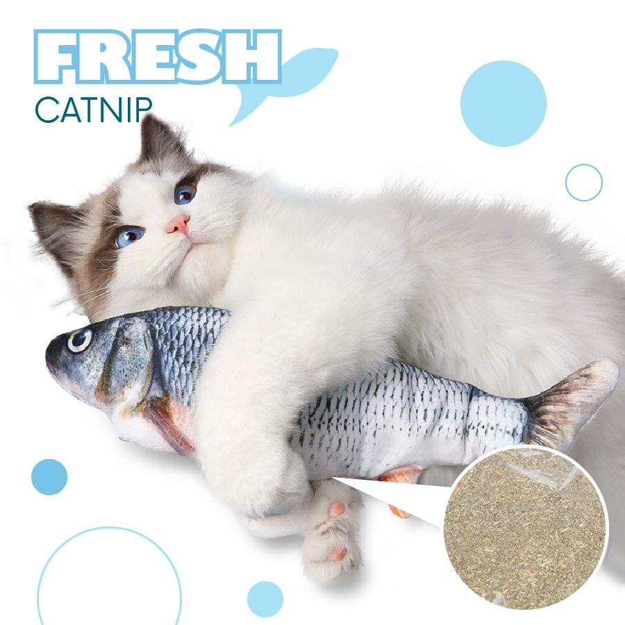 Pets Floppy Fish