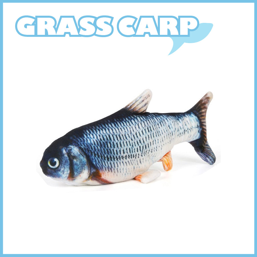 Pets Floppy Fish