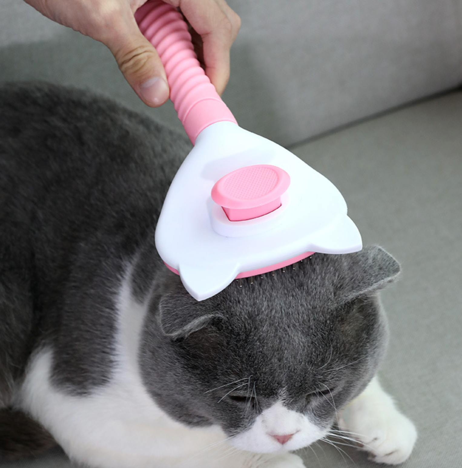 Pet Cleaning Slicker Brush