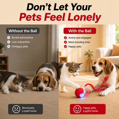 Smart Interactive Automatic Electric Rolling Moving Rechargeable Motion Activated Self Play Electronic Stimulation Chase Teaser Ball Toy with Rope for Indoor Bored Adult Cat and Dog
